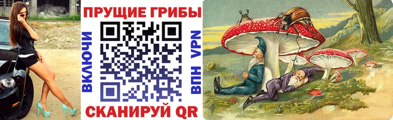 гидра   купить закладку  Заинск  Псилоцибиновые грибы GOLDEN TEACHER 